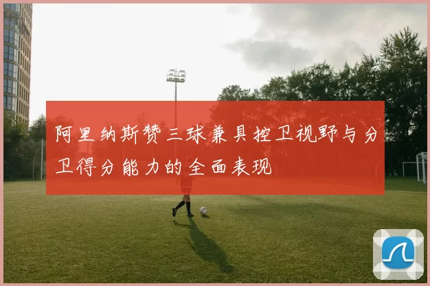 阿里纳斯赞三球兼具控卫视野与分卫得分能力的全面表现