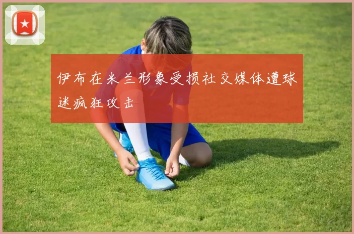 伊布在米兰形象受损社交媒体遭球迷疯狂攻击